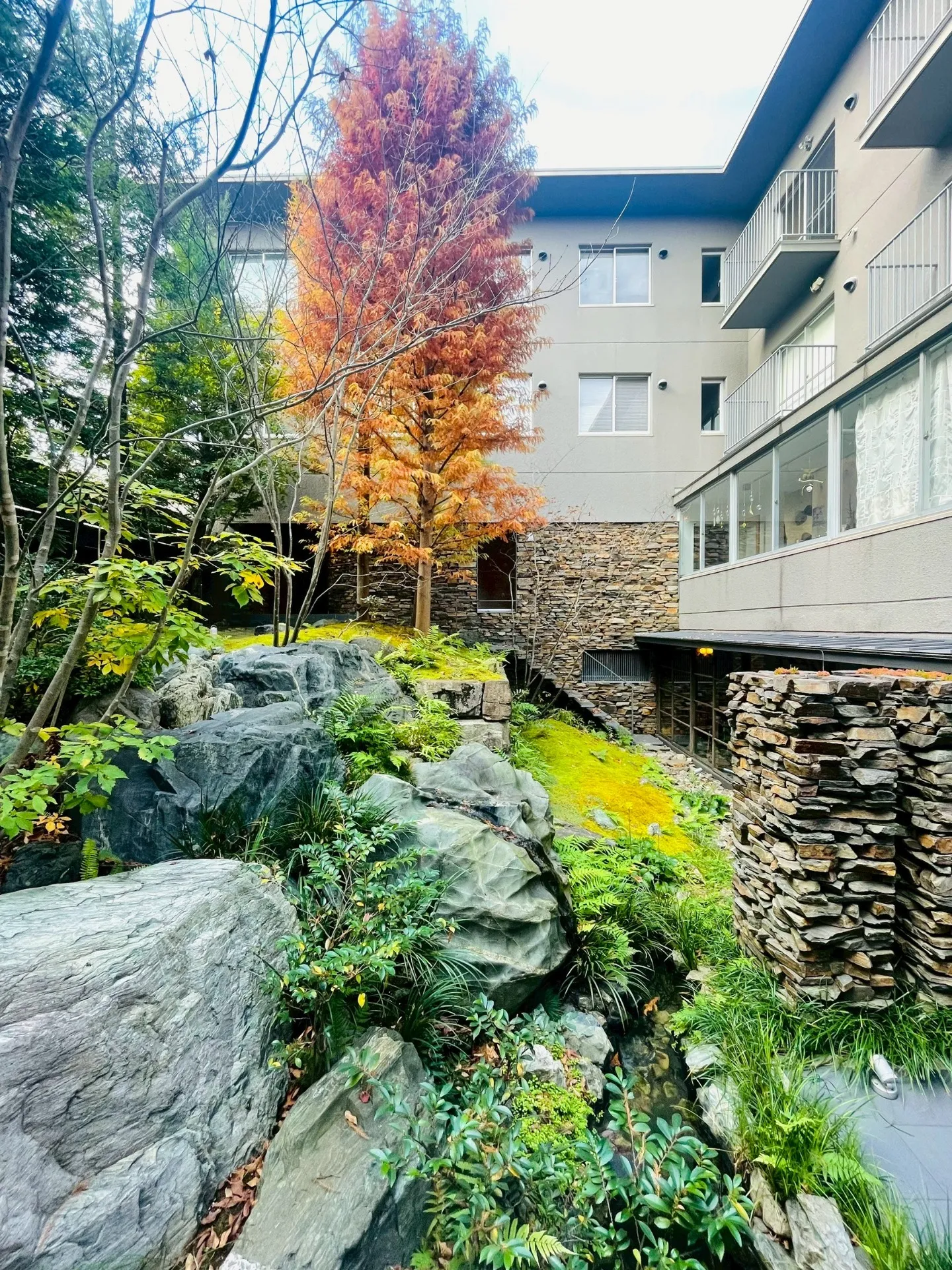 お庭を眺めながら、、、