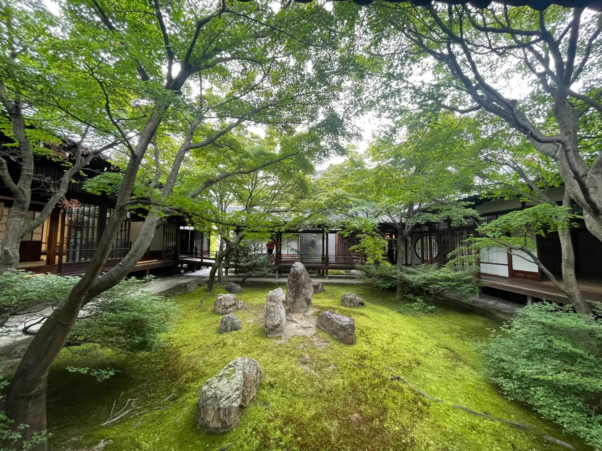 ひとやすみ・・・